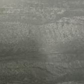 Black Rugged - Thumbnail