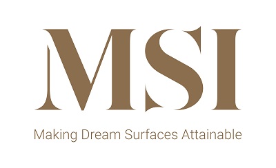 linklogo-msi1